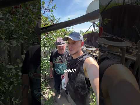 Заливаю Фундамент, Дед ест Вишню