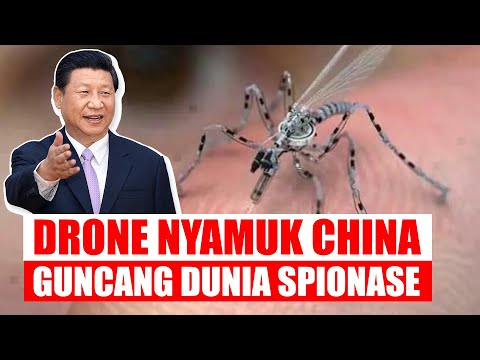 Drone Nyamuk China, Bongkar Teknologi dan Tantangan yang Tersembunyi