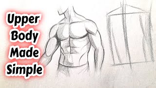Easy Upper Body Drawing Step-By-Step | Draw Upper Torso, Shoulders & Chest | How to Draw a Body