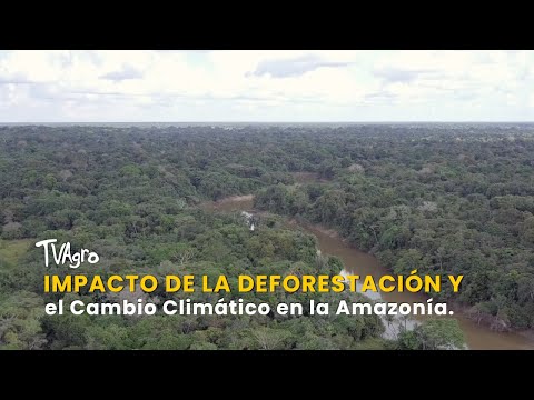 YouTube video thumbnail: Impact of Deforestation and Climate Change in the Amazon
