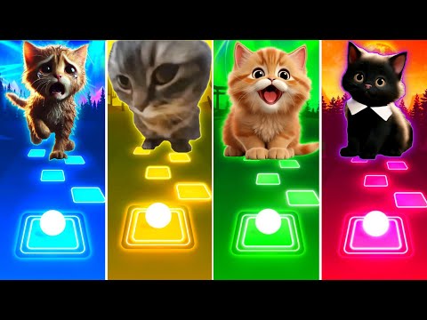 Sad Cat vs Dubidubidu Cat vs Waka Waka Cat vs Bloody Mary Cat - Tiles Hop EDM Rush