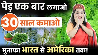 मोरिंगा की खेती से सालों-साल लाखों कमाएं | भारत से अमेरिका तक डिमांड | पूरी गाइड और मुनाफे का राज़