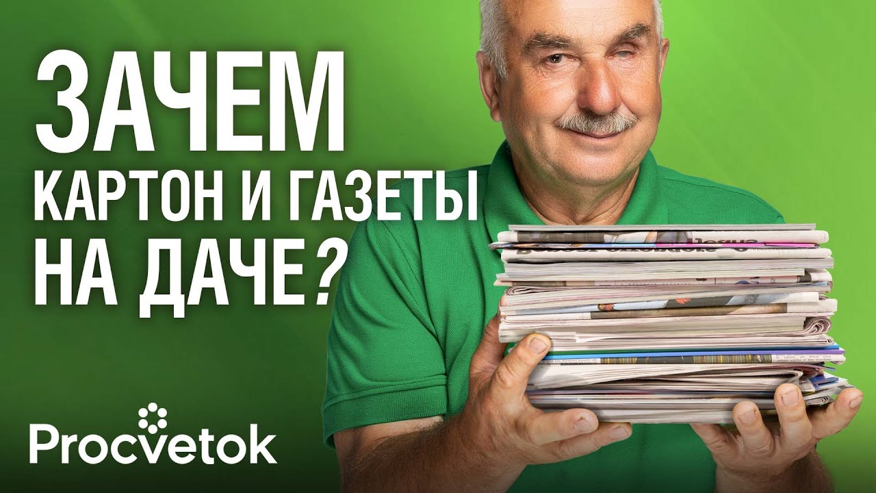 Не вздумайте это выбросить! Как картон и старые газеты помогут избавиться от сорняков и вредителей