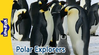 Polar Explorers! | Polar Bear, Emperor Penguin, Walrus & Moose on a Chilly Adventure | Little Fox