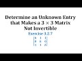 Matrix Invertibility and Determinants