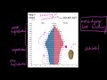 Understanding Age Pyramids and Population Trends