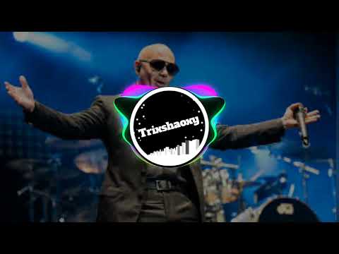 pitbull Bon bon