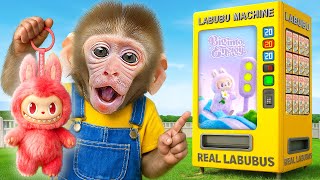 KIKI Monkey WENT Broke at MYSTERY LABUBU Vending Machine & Swimming with Ducklings |KUDO ANIMAL KIKI