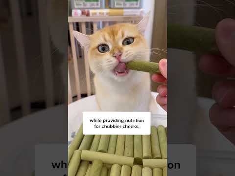 I Regret Not Doing This… 😭😼