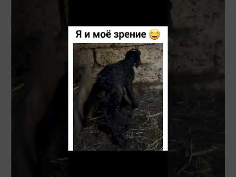 Это очень смешно 😂