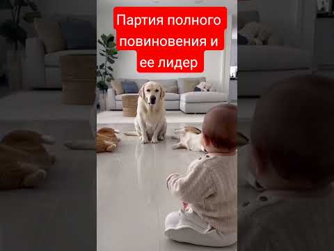 Один за всех