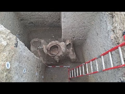 12 Most Incredible And Amazing Recent Discoveries