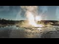Wolves and Ecosystem Dynamics in Yellowstone