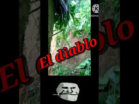 EL Camar贸grafo nunca muere -trollface 馃槑鈽狅笍鈽狅笍#clips #videoviral #troolface
