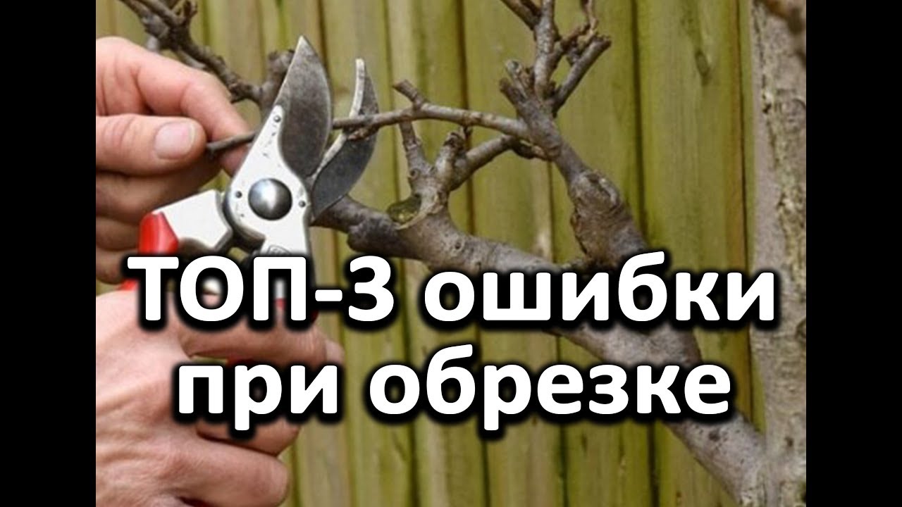 Топ-3 ошибки при обрезке
