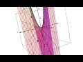 Optimization and Lagrange Multipliers