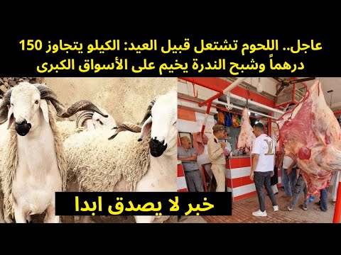 عاجل.. اللحوم تشتعل قبيل العيد: الكيلو يتجاوز 150 درهماً وشبح الندرة يخيم على الأسواق الكبرى