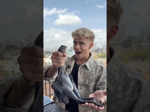 Eating The Worlds Blackest Chicken!