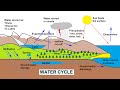 Exploring the Water Cycle Dynamics
