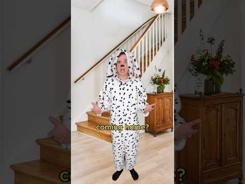 Dog gets left home alone #comedy #music #parody of Cats In The Cradle by Harry Chapin