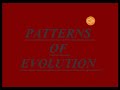 Evolutionary Processes and Patterns
