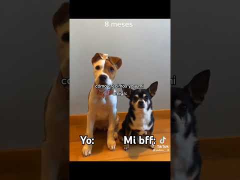 Si somos JAJAJAJA perdón por no subir videos no pusieron a cargar mi celu 😭💅