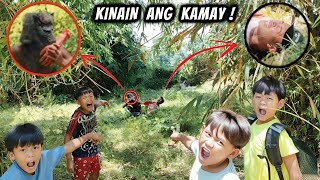JUSKO MALALA NA ANG MUNDONG ITO • ASWANG NA WOLF NAMAN ANG UMATAKE (SHIFSHEFTER) PART 3