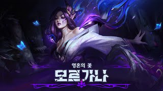 The Grovemother’s Lullaby (feat. 마이 후지사와) | 영혼의 꽃 모르가나 공식 스킨 테마