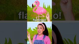 Stand like a flamingo with Ms. Rachel, now playing on Netflix! 🦩