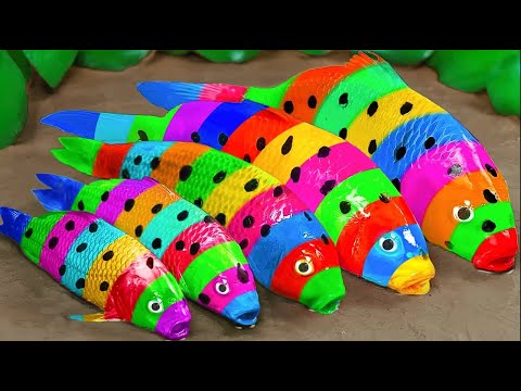 Satisfying Catch Colorful Aquarium Fish In Small Pond, Pingpong Pearl Fish, Baby Turtle, Ranchu Fish
