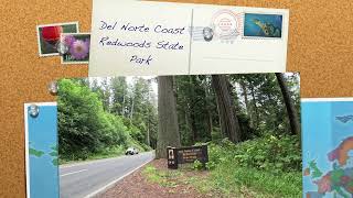 Del Norte Coast Redwoods State Park   4K