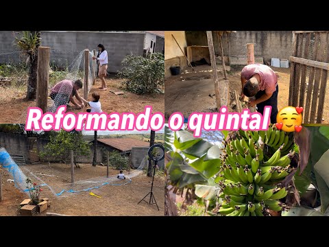 REFORMANDO NOSSO QUINTAL AQUI NA CIDADE | VAMOS CRIAR GALINHAS 🐓 *colocando cerca*