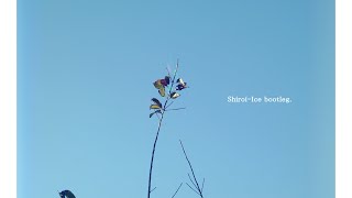 TEMPLIME - ごめんね(Shiroi-Ice Bootleg)[MV]