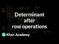 Matrix Operations and Determinants