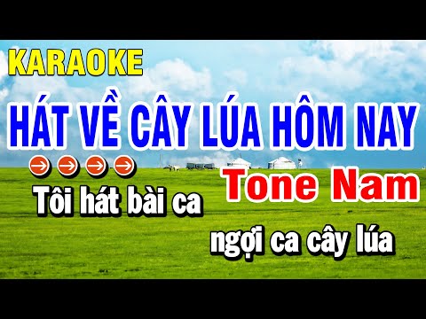 Karaoke Hát Về Cây Lúa Hôm Nay Nhạc Sống Tone Nam | Huỳnh Anh