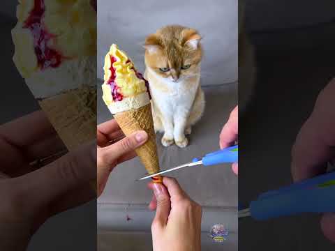 Hidangan Kecil, Drama Besar ๐๐พ๐ฆ #lucu