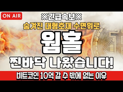 [웜홀 코인분석] 찐바닥 나왔습니다!