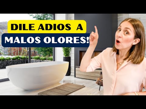 COMO HACER QUE TU CASA HUELA SIEMPRE BIEN!✨ Tips de Experta en Limpieza y Organización