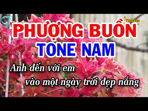 Karaoke Phượng Buồn Tone Nam ( F ) Nhạc Sống Mới | Karaoke Tuấn Kiệt