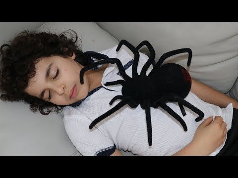 Sami he found spiders at home :  العناكب في المنزل