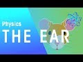 Understanding Hearing and Sound Perception