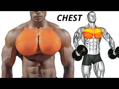 TOP 5 INNER, LOWER AND UPPER CHEST WORKOUT WITH DUMBBELLS BARBELL CABLE AND MACHINE   AT  GYM