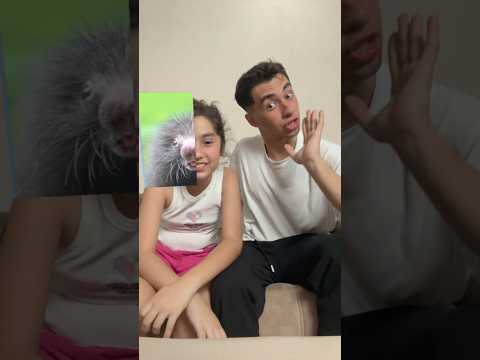 Yüzümüzün Yarısı Hangi Hayvana Benziyor  ?