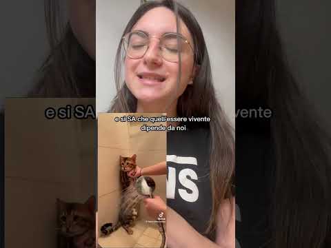 FACCIAMOCI SENTIRE?? #animali #cane #gatto #violenza #protezioneanimali #maltrattamentoanimali