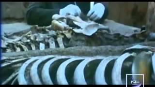 Documentary China's Bronze Age   Shang Dynasty