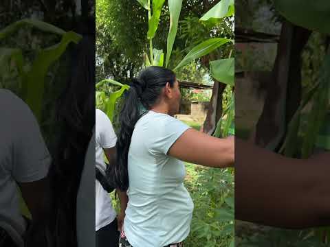 Le pintamos los plátanos a Iliana (parte 1) 🤣
