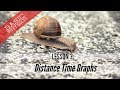 Distance-Time Graph Concepts
