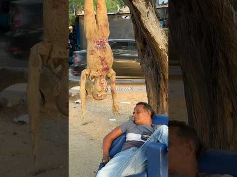 ππ€£π€£π€£ #funny #viralvideo #prank