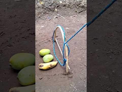 Armadilha de sobrevivência para pegar animais #caça #selva #natureza #animais #armadilha #shorts
