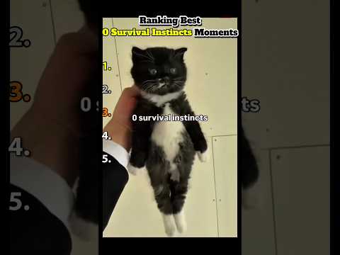 DONT CHECK THE SOUND ๐ญ๐ญ